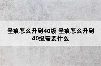 圣痕怎么升到40级 圣痕怎么升到40级需要什么